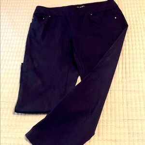 Fit sight Women's Navy Pants Sz 10P Nautical look Slip-on Front & back pockets